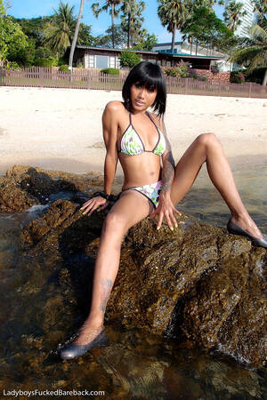 ladyboys fucked bareback noon - Sex HD MOBILE Pics Ladyboys Fucked Bareback Noon Xxxsrxhdcomf Ladyboy Dengan