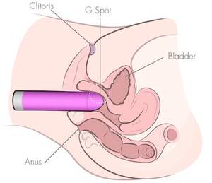 anal dildo diagram - How To Use A Vibrator For Intense Orgasms