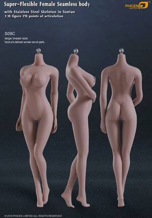 Anatomically Correct Doll Porn - Female Body Super-Flexible Female Seamless 1/6 Scale Body with Stainless  Steel Skeleton in Suntan/Large Breast by Phicen [PL-LB2015S09C](Anatomically  Correct Female Parts) Female Seamless Super-Flexible 1/6 Scale Body Large  Breast with Anatomically Cor