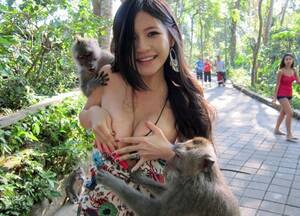 latina chicks fucking monkeys - Horny Groping Monkeys | MOTHERLESS.COM â„¢