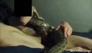 Man Fucks Female Snake - Dude fucking an actual snake in front of the camera