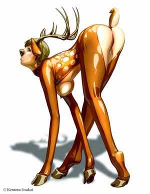 Deer Sexy - sexy deer