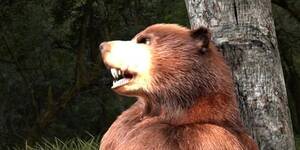Bear Bear Porn - Grizzly furry gay bear sex part 2 of 3 - Tnaflix.com