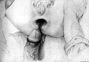 erotic anal sex drawings - PENCIL PORN (60 photos) - sex eporner pics
