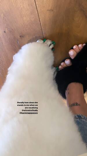 Feet Ariana Grande Porn - Ariana Grande's Feet << wikiFeet