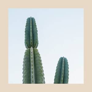 Homemade Small Penis Sex - I Have a Small Penis - Men Reveal What It's Like to Have a Tiny Penis