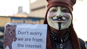 Darknet Porn - Anonymous takes down darknet child porn site on Tor network