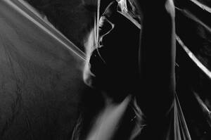 American Horror Story Rule 34 Porn - THE CITRUS SCALE â€” Rule 34: When Things Get Scary In The Bedroom