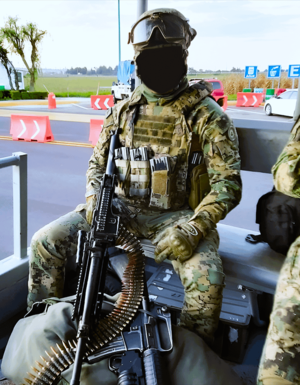 Mexican Military Porn - Mexican marine ready to take out the scum [700x1000] : r/MilitaryPorn