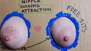 cock sucking nipples - nipple sucking' Search - XNXX.COM