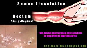 anatomy shemale porn - Watch Shemale Anatomy - Tranny, Shemale, Transexual Porn - SpankBang