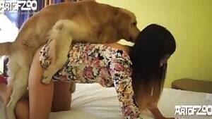 Bestiality Real Porn - Slut in panties has sex with dog. Free bestiality and animal porn