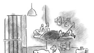 Alice And Ruff Sex Porn Cartoons Comics - 