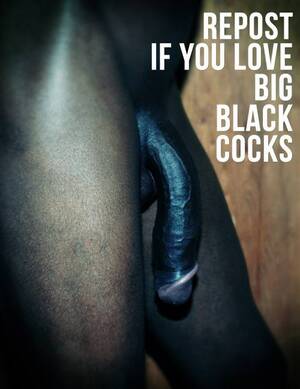 massive black cock memes - Big Jet Black Cock Meme | Black Cock Pictures