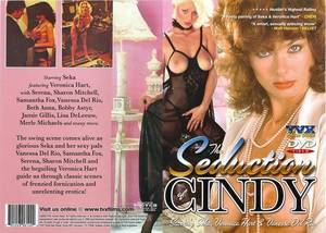 Beth Anna Vintage Porn - The Seduction of Cindy (1980) cover
