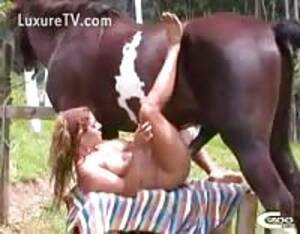 bbw donkey sex - Latina fucks donkey - Extreme Porn Video - LuxureTV
