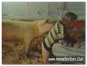 Boars And Women Porn - 40 - Wild Boar Fucks A Girl - Sex With Pigs â‹† BeastSexStars.Net