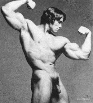 Arnold Schwarzenegger Gay Porn - Arnold Schwarzenegger nude : r/VintageLadyBoners