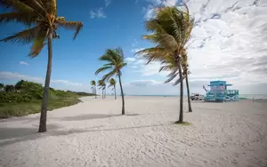 haulover beach voyeur - 10 Best Nude Beaches in Florida (With Dos and Don'ts) - Richr