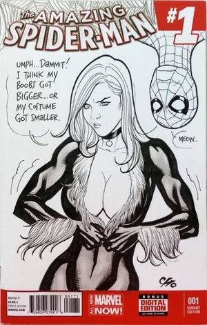 Black Cat Harley Quinn Spider Man Porn - The Amazing Spider-Man (Black cat) by Frank Cho