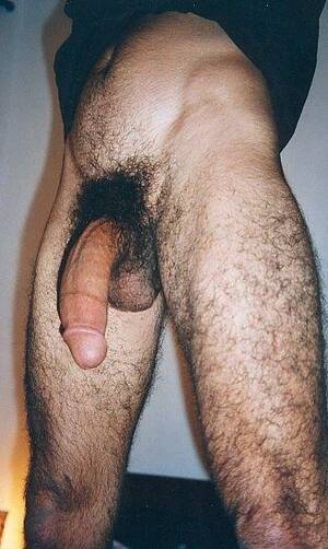 Big Hairy Cocks Porn - Big Hairy Arab Cock Tumblr Porn