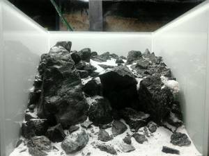 Hardscape Porn - Hardscape for L-Number (\