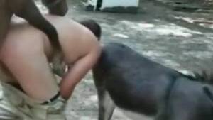 Donkey Bestiality Porn - Donkey watches this chubby zoophile fucking a horse