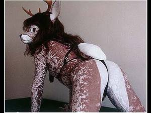 Furry Sex Costume Porn - Fetish furries sex Â· Angie hoffman nude