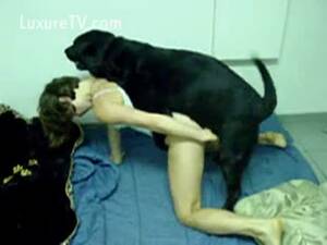 dirty bitch doggy style - Dirty bitch gone wild with a doggy - LuxureTV