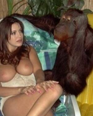 Monkey Porn Bestiality - Most Relevant Photo Albums - monkey fuck girl bestiality zoo taboo porn and  x x - Beast sex videos - Bestialitytaboo