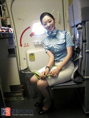 Asian Air Stewardess Porn - Korean air hostess opening up gash