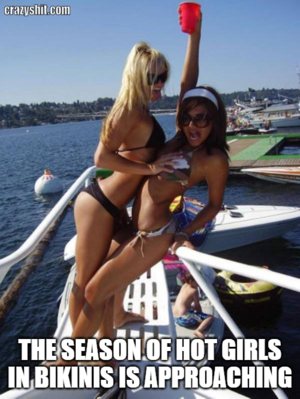 Bikini Porn Meme - CrazyShit.com | vacation memes - Crazy Shit