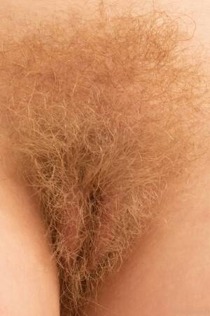 natural blonde hairy - Blonde Hairy Pussy Porn Pics - PornPics.com
