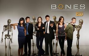 bones tv show porn - Bones' season 10: Booth and Brennan to work on the biggest case yet