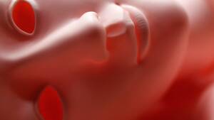 Anatomically Correct Animal Sex Toys - A (Straight, Male) History of Sex Dolls - The Atlantic