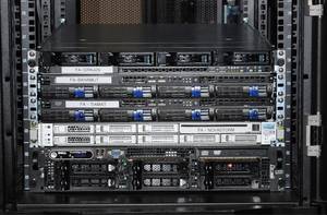 Furry Dino Squad Porn - Fur Affinity's servers Bahamut, Tiamat, Novastorm and Trogdor (unlabeled).