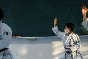 Japanese Karate Women Nude Porn - The Centuries-Old Sport of Karate Finally Gets Its Due at the Olympics |  Arts & Culture | Smithsonian Magazine