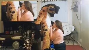 Furry Porn Real Looking - 