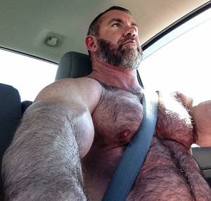Bo Hairy Porn - Hairy and Muscled Bearded Bear strapped into the driver's seat!