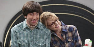 Big Bang Theory Bernadette Porn - Howard and Bernadette in The Big Bang Theory S09E12: 'The Sales Call  Sublimation'