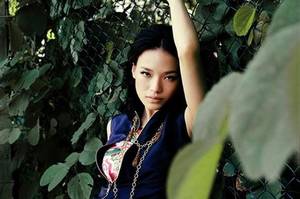 Artist Hong Kong Porn - Shu Qi, one of the 'Top 10 Hong Kong porn film actresses'