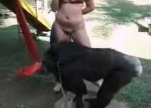 Monkey Women Porn - Monkey putting finger in woman's pussy - Zoo Xvideos