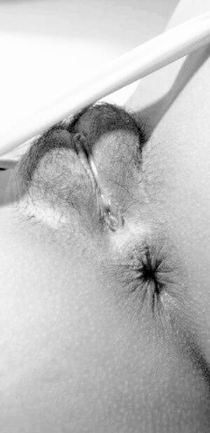 Artistic Pussy - Artistic pussy Porn Pic - EPORNER