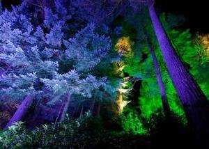 Enchanted Forest Porn - The Enchanted Forest, Scotland's Award Winning Sound & Light Show