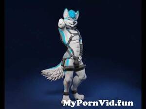3d Gay Fox Porn - Alt Turntable animation 3D furry gay\\\