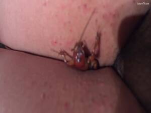 Insect Pussy Insertion - Insect porn with whore letting an insect go inside her pussy - LuxureTV
