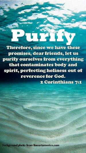 Bible Porn Quotation - 2 Corinthians ~ We are called to purify ourselves out of reverence for God.  Paul also reminds us by our faith in Jesus we are made new; \