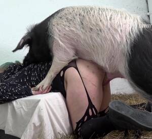 Babe Pig Movie Porn - Babe Pig Movie Porn | Sex Pictures Pass