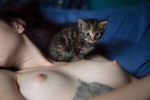 Girl Kitten Porn - Kitten porn - 51 photo