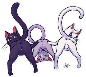 Cat Sailor Moon Porn - Cat Sailor Moon Porn | Sex Pictures Pass